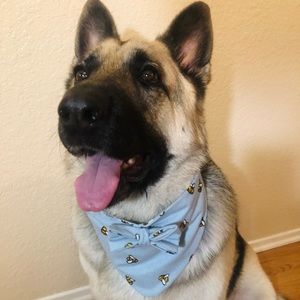 Blue with bee Handmade Pet Bandana